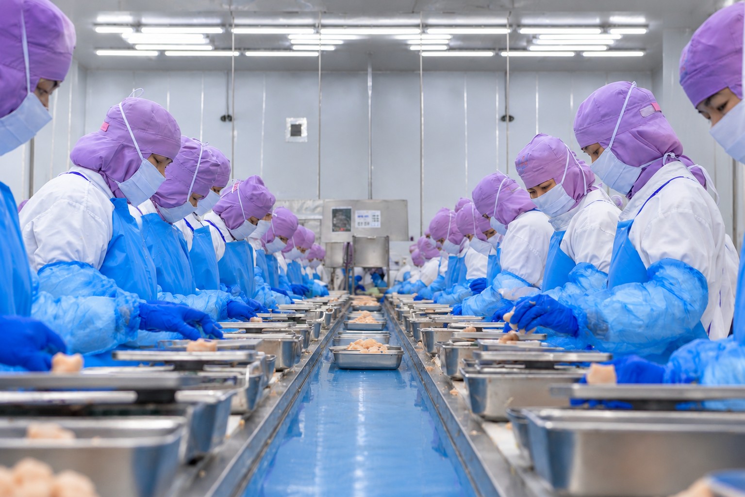 Sterile Packaging and Weighing Line at TPG Plant